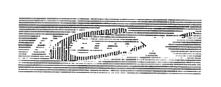 BETA CARV X logo
