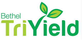 BETHEL TRIYIELD logo