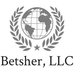 BETSHER, LLC logo