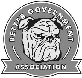 BETTER GOVERNMENT ASSOCIATION logo