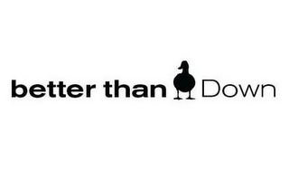 BETTER THAN DOWN logo