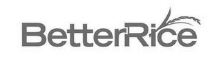 BETTERRICE logo