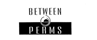 BETWEEN PERMS logo