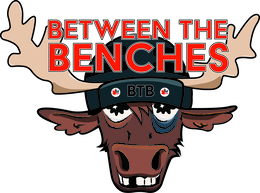 BETWEEN THE BENCHES BTB logo