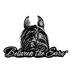 BETWEEN THE EARS logo