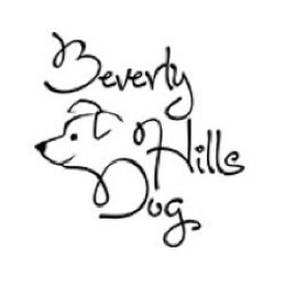 BEVERLY HILLS DOG logo