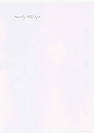 BEVERLY HILLS SPA logo