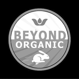 BEYOND ORGANIC logo