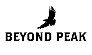 BEYOND PEAK logo