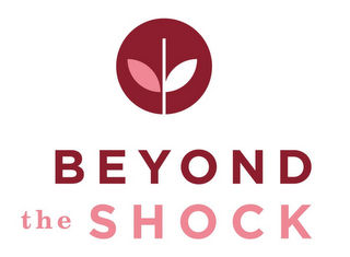 BEYOND THE SHOCK logo
