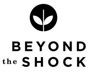 BEYOND THE SHOCK logo