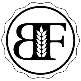 BF logo
