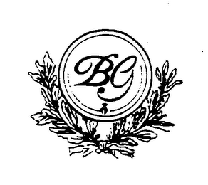 BG logo