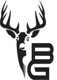 BG logo