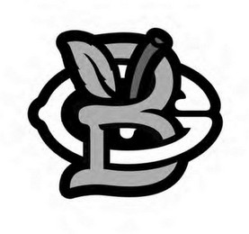 BG logo