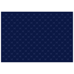 BG logo