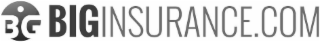 BG BIGINSURANCE.COM