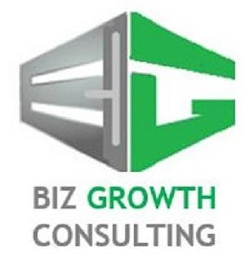 BG BIZ GROWTH CONSULTING logo