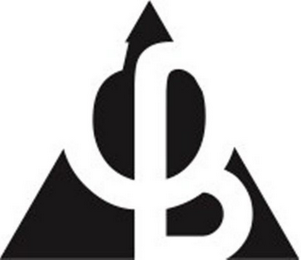 BGI logo