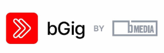 BGIG BY BMEDIA logo
