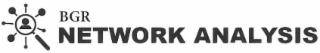 BGR NETWORK ANALYSIS logo