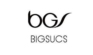 BGS BIGSUCS logo