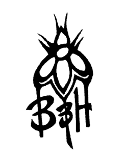 B&H logo