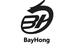 BH BAYHONG logo