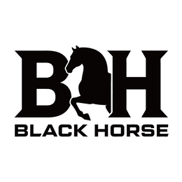 BH BLACK HORSE logo