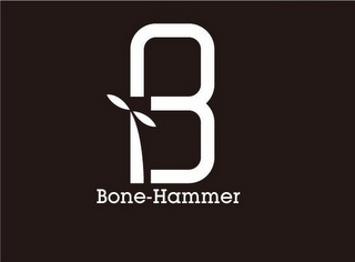 BH BONE-HAMMER logo
