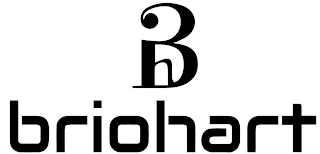 BH BRIOHART logo