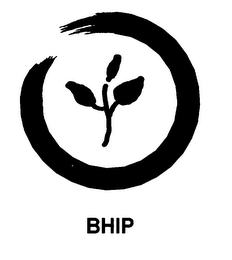 BHIP logo