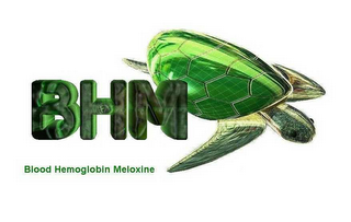 BHM BLOOD HEMOGLOBIN MELOXINE logo