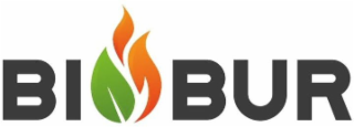 BI BUR logo