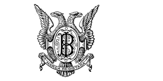 BI MARCA REGISTADA logo
