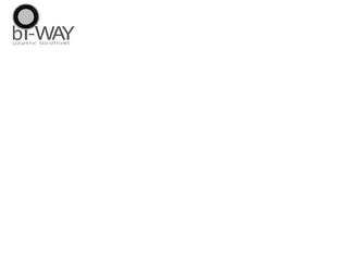 BI-WAY LOGISIC SOLUTIONS logo