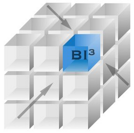 BI3 logo