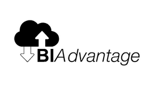 BIADVANTAGE logo