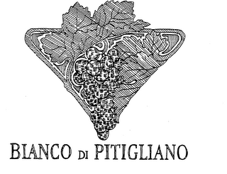 BIANCO DI PITIGLIANO logo