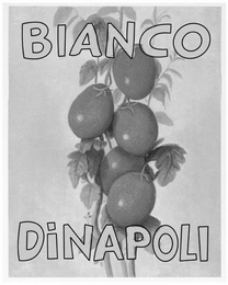 BIANCO DINAPOLI logo