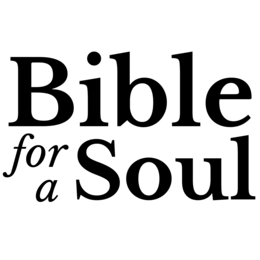 BIBLE FOR A SOUL logo