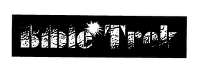 BIBLE TREK logo