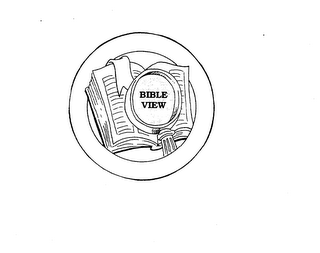 BIBLE VIEW logo