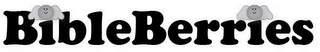 BIBLEBERRIES logo