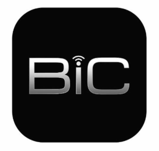 BIC logo