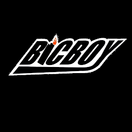 BICBOY logo