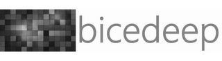 BICEDEEP logo