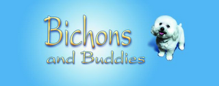 BICHONS AND BUDDIES logo