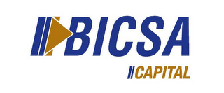 BICSA CAPITAL logo