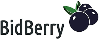BIDBERRY logo